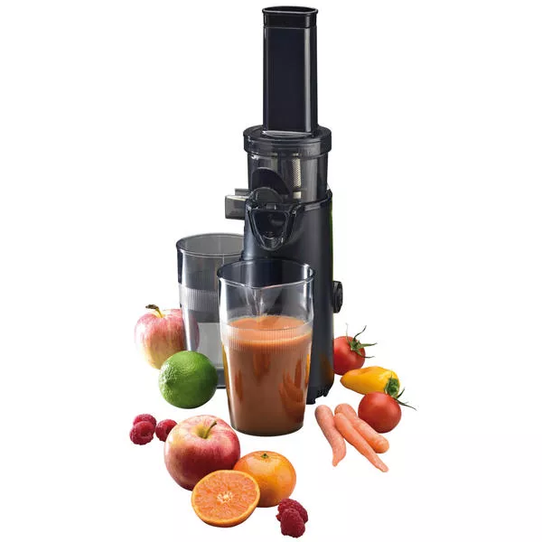 Slow Juicer compact
