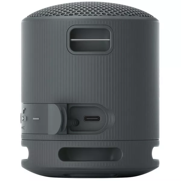 SRS-XB100 - Bluetooth Lautsprecher, IP67 Portable Speakers - spritzwasserfest