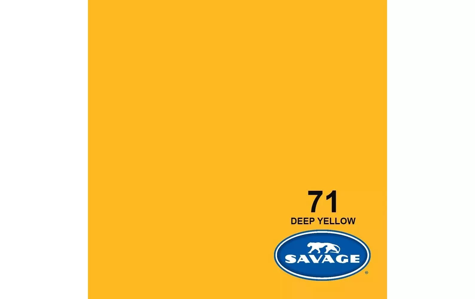 Fond Papier 2.72 x 11m Deep Yellow