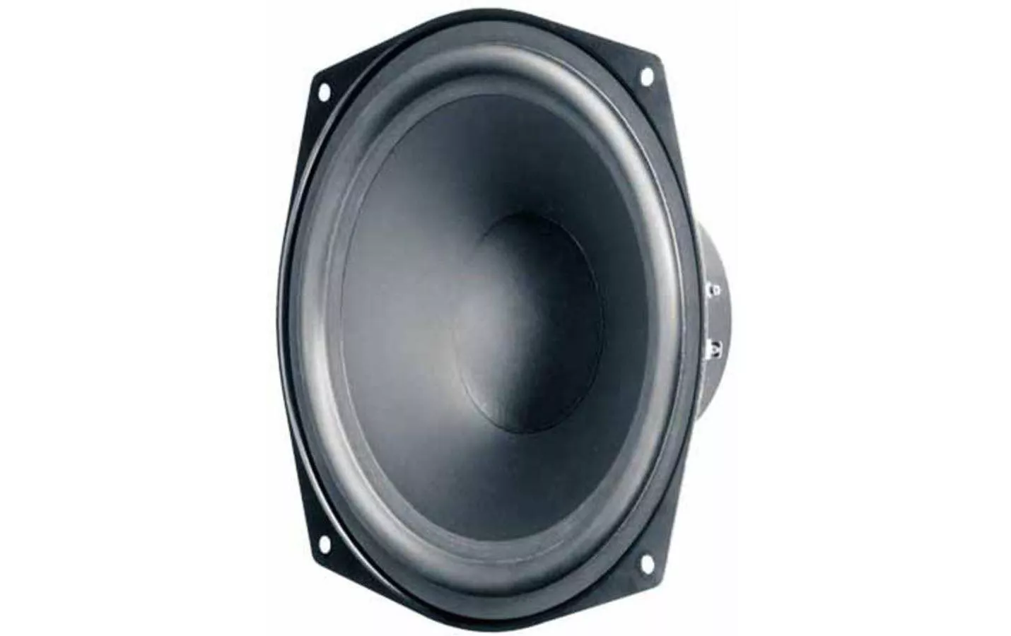 Haut-parleur de graves HiFi WS 17 E