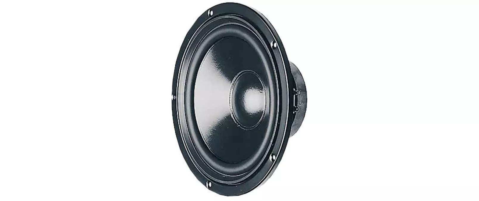 Haut-parleur de graves HiFi W 200 S