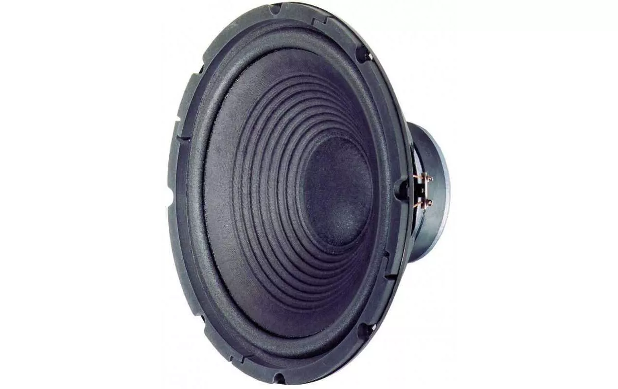 Haut-parleur de graves HiFi W 300