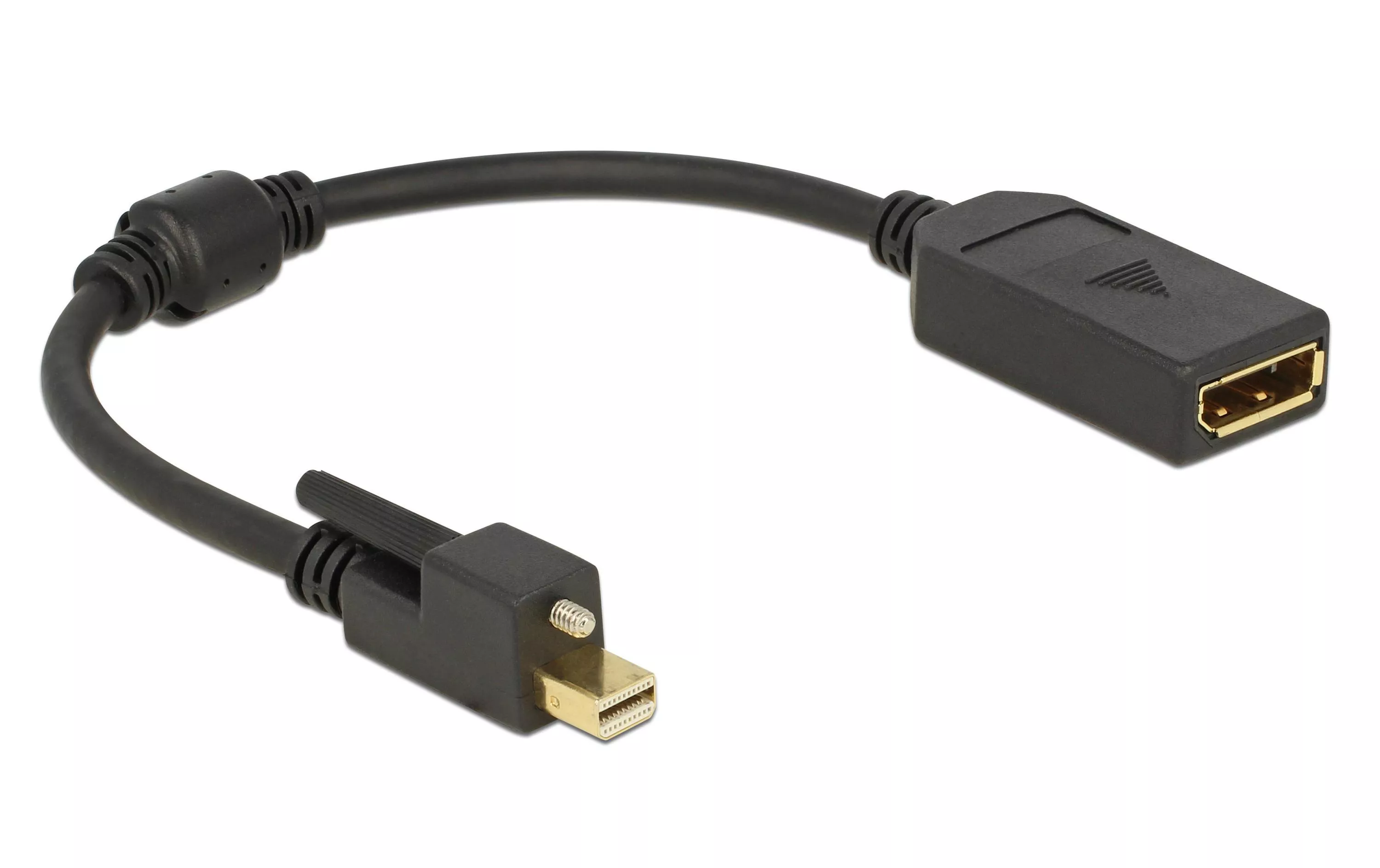 Adaptateur Mini-Displayport - Port d\'affichage, 4K, à visser